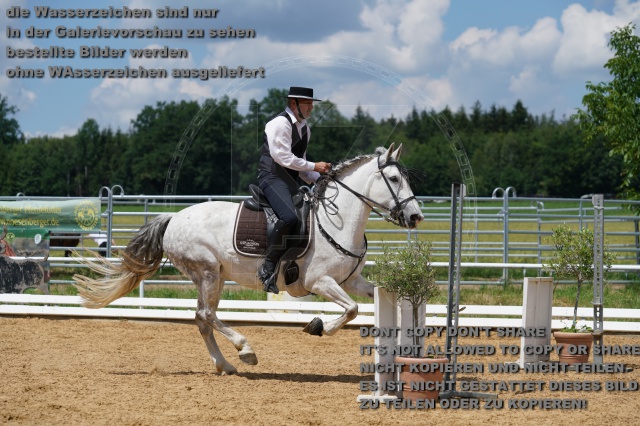 s_K3F06163.JPG